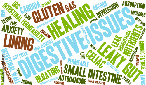 Digestive Issues word cloud on a white background. 