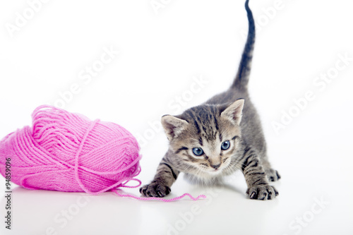 Fototapeta Naklejka Na Ścianę i Meble -  Gatito junto a ovillo de lana