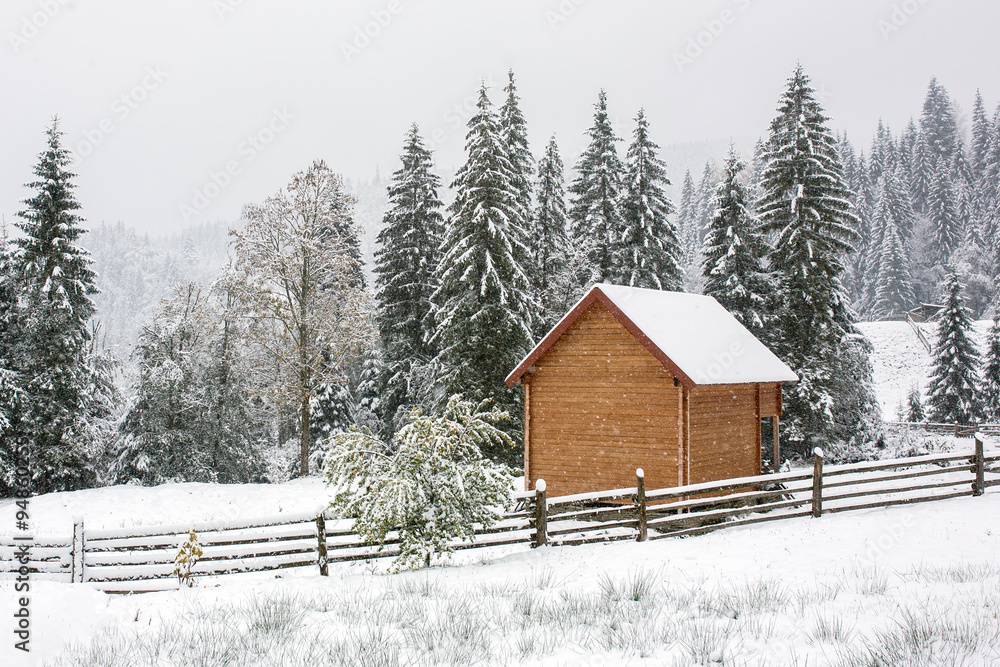 Country house during heavy snowfall in Carpathians mountains in