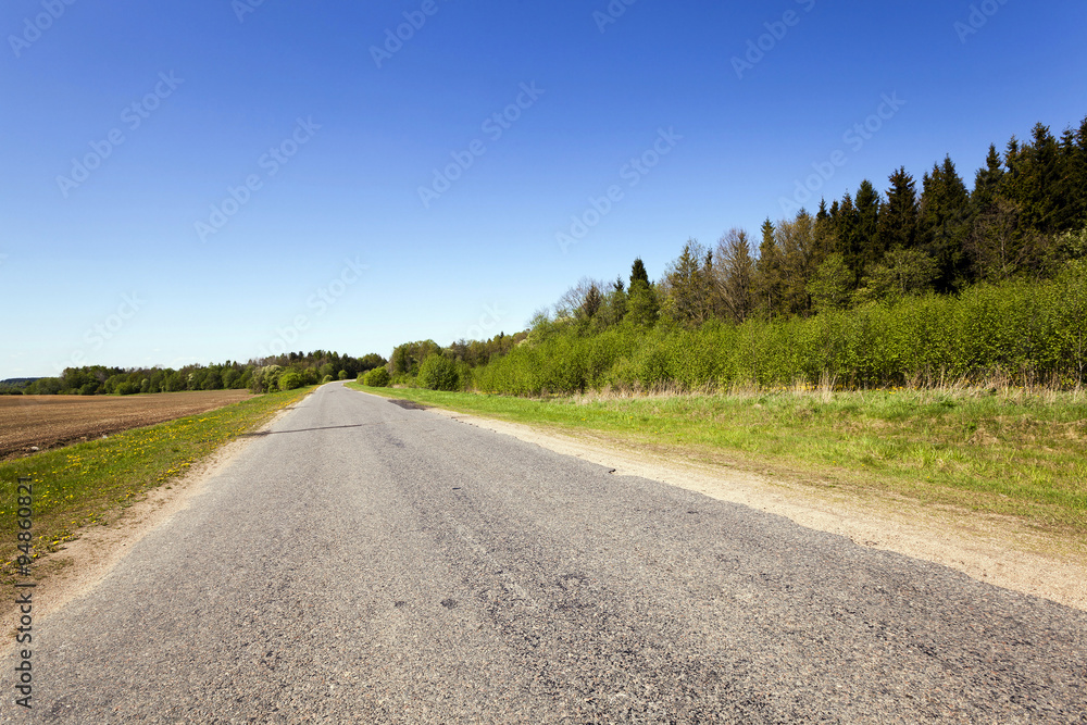 Fototapeta premium Spring road. countryside 