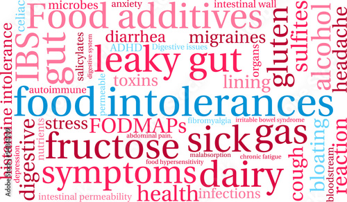 Food Intolerances word cloud on a white background. 