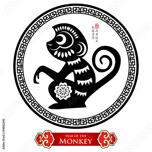 Photography Chinese zodiac: monkey