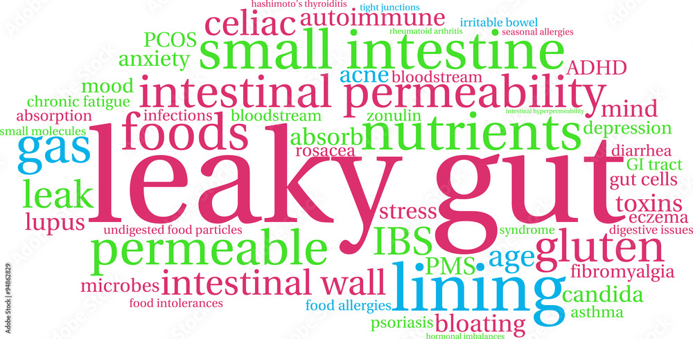 Fototapeta premium Leaky Gut Word Cloud