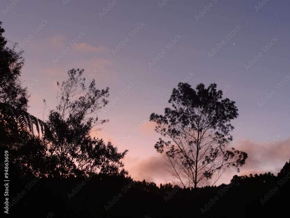 Fototapeta premium Pôr do sol