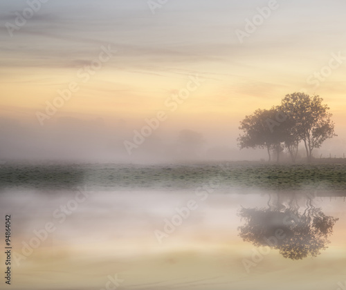 Stunning vibrant Autumn fog...