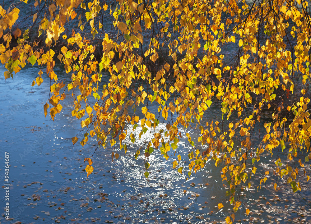 Lake and tree. Lake and tree.