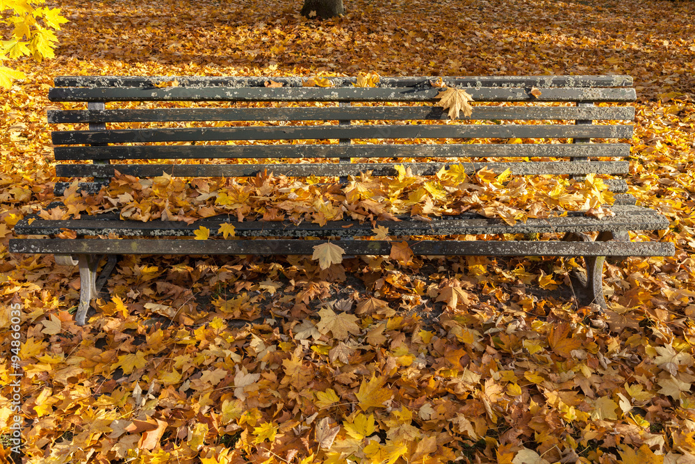 Obraz premium Herbst