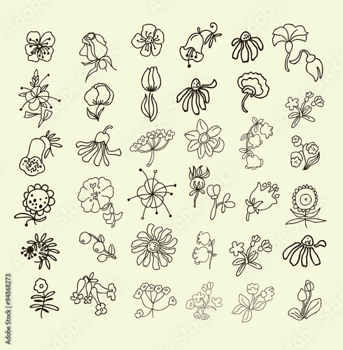 Collection of hand drawn flowers. Elements for your design. Vector illustration
