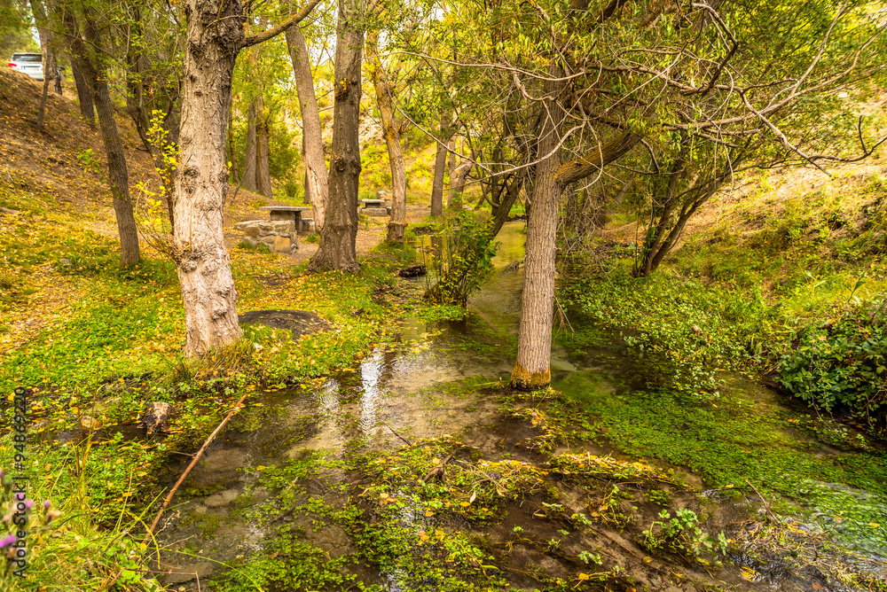 Obraz premium Merendero Aguas Blancas