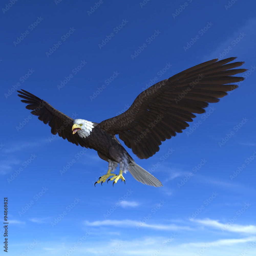 Naklejka premium 白頭鷲