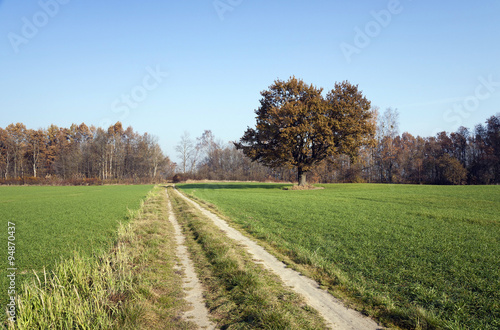  Rural Dirt road. 