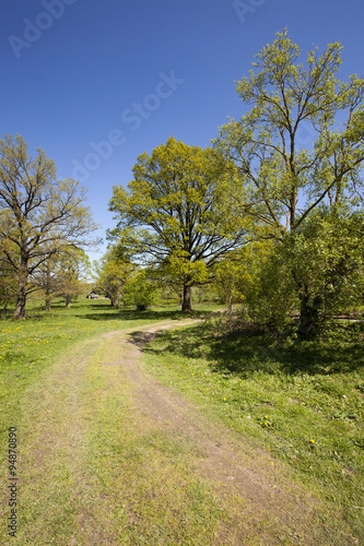 Spring road. countryside 