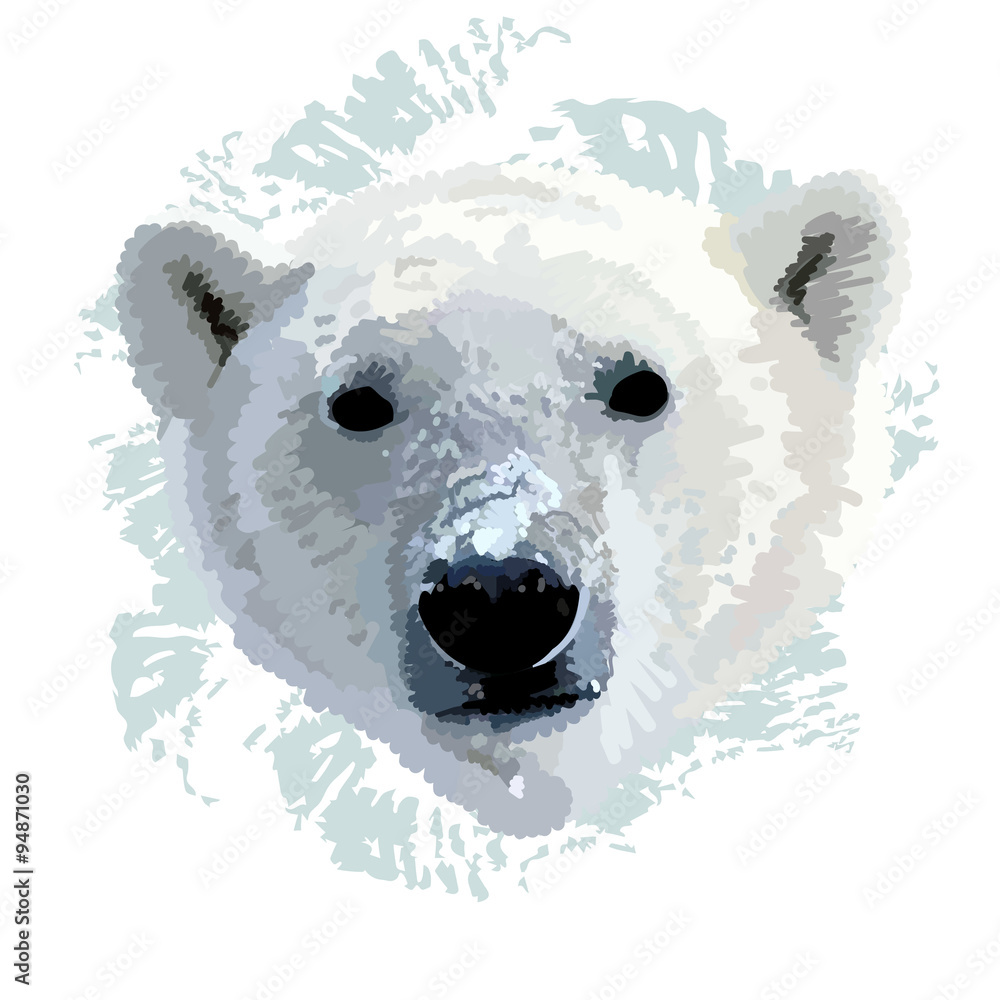 Obraz premium The head of a polar bear