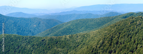 Fototapeta Naklejka Na Ścianę i Meble -  Summer hazy mountain forest panorama
