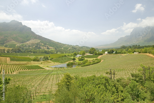 Stellenbosch wine route and valley of vineyards, outside of Cape Town, South Africa