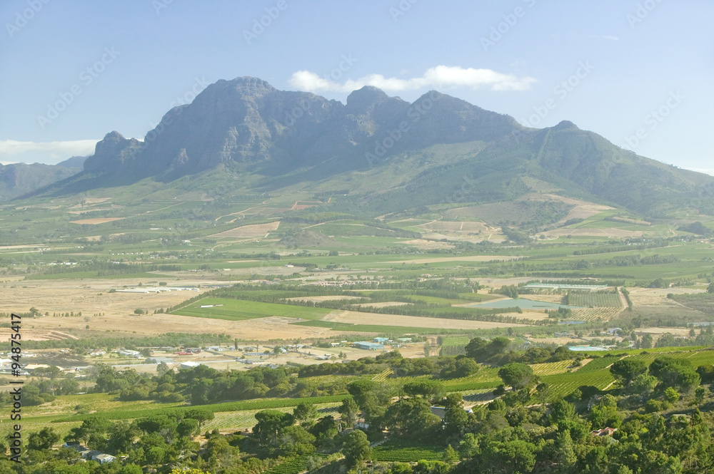 Naklejka premium Vineyards of Stellenbosch wine region, outside of Cape Town, South Africa