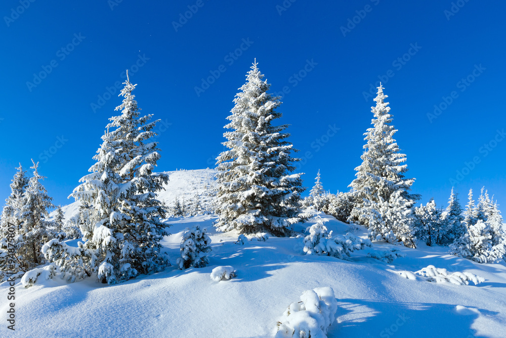 Naklejka premium Morning winter mountain landscape (Carpathian, Ukraine).