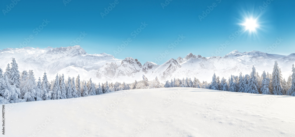 Naklejka premium Winter snowy landscape