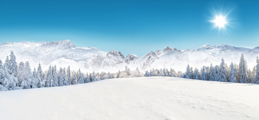 Tableau sur plexiglas Hiver Paysage hivernal blanc recouvert de neige  © Jag_cz