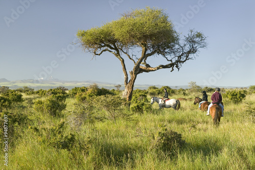 Female horseback riders ride horses in morning at the Lewa Wildlife Conservancy in North Kenya, Africa photo