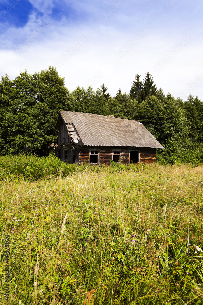 abandoned house . Belarus. abandoned house . Belarus.