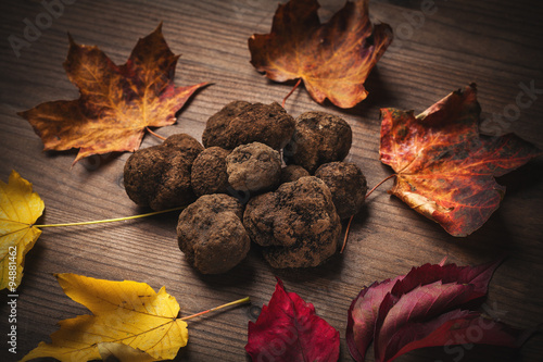 Billede på lærred mushroom black truffle