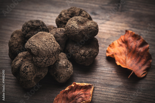 mushroom black truffle photo