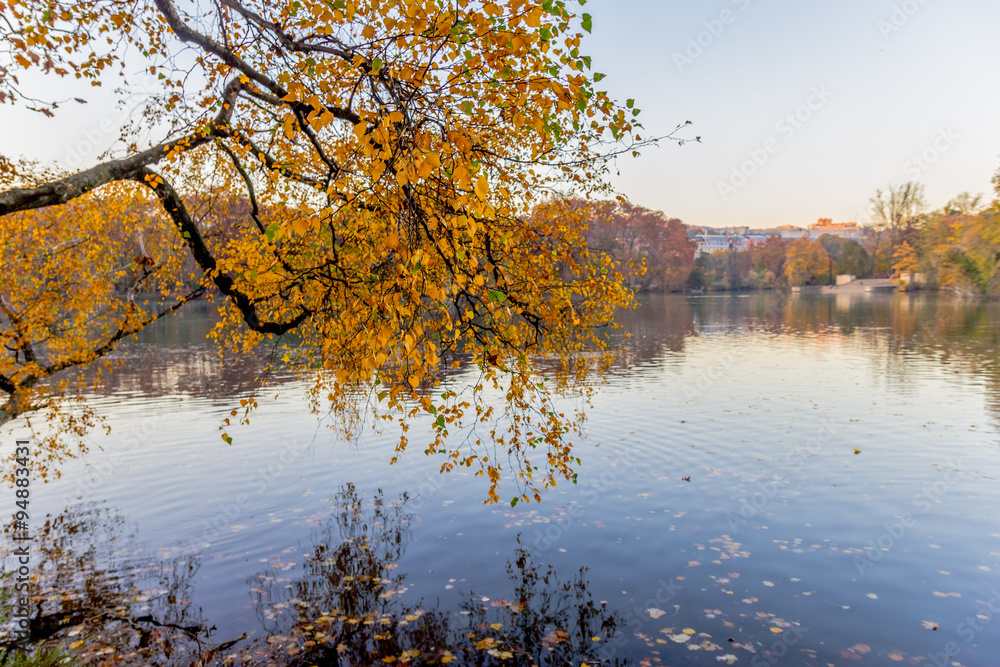 Fototapeta premium Couleurs d'automne sur le lac du Parc de la Tête-d'Or de Lyon