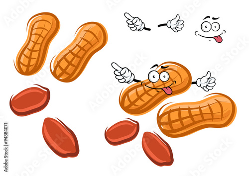 Cartoon brown peanut with shell and nuts