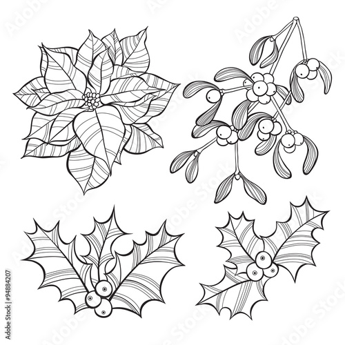  Set of  Christmas flowers  isolated on white background. Hand-drawn vector illustration