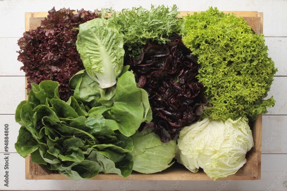 fresh picked whole lettuce varietys
