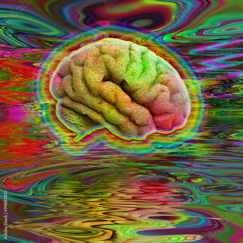 Psychedelic Brain