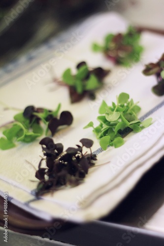 salad garnish in kitchen photo