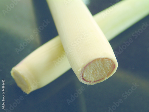 lemon grass stem photo