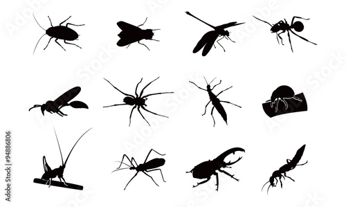 Kinds of Insect Silhouette Complete Set © jongjawi
