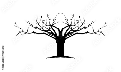 Symmetric Old Dead Dried Tree Isolated Silhouette