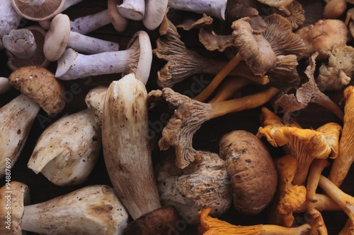 Obraz na płótnie wild mushroom selection w salonie