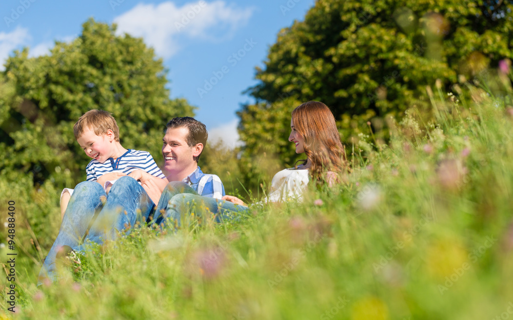 Fototapeta premium Familie kuschelt gemeinsam auf der Wiese