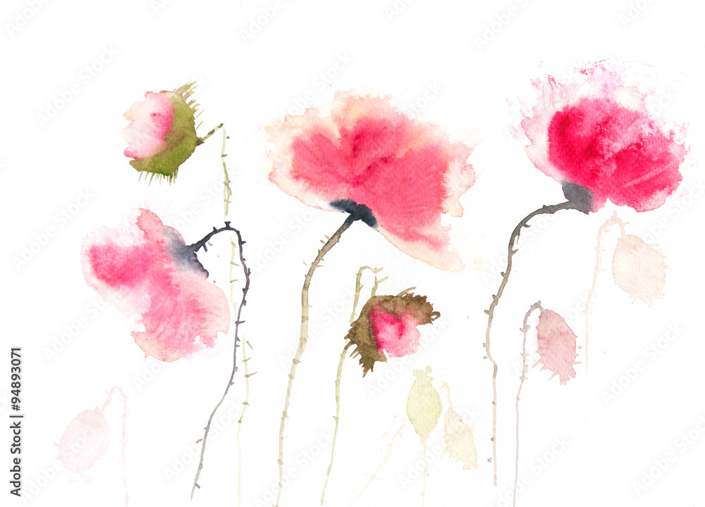 Beautiful red poppy flowers, watercolor painting