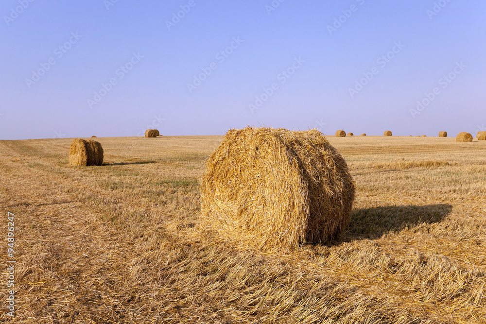 stack of straw  