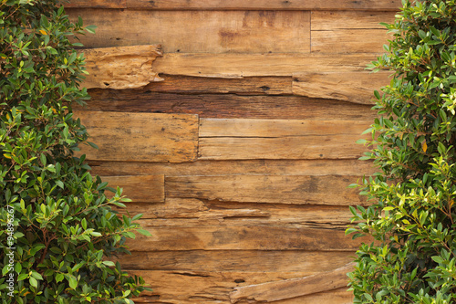 wall wood texture and plants