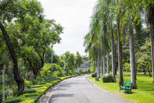 Photography Chatuchak park in bangkok Thailand
