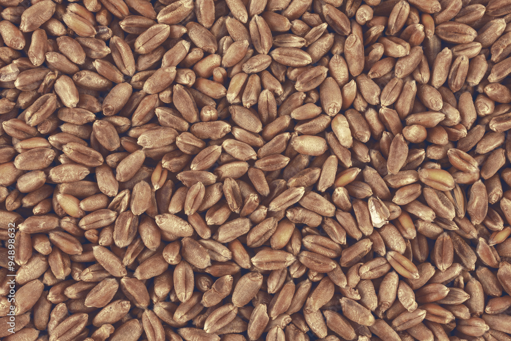 Wheat background view from the top close up Wheat background view from the top close up