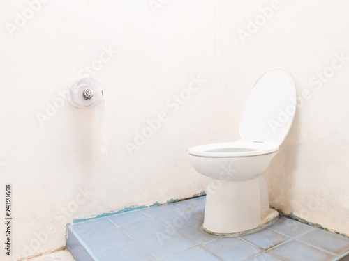 Toilet seat and paper roll interior design