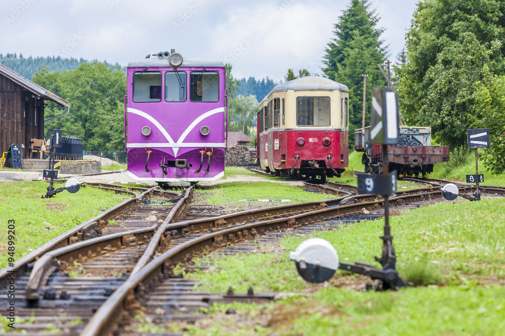 Naklejka premium narrow gauge railway, Nova Bystrice, Czech Republic
