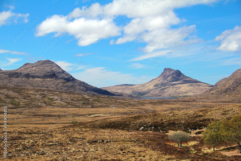 Landscape of Savannah, Africa