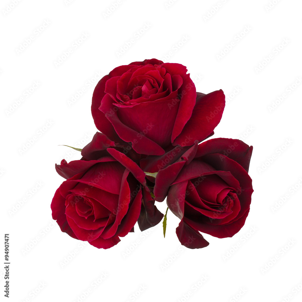 Fototapeta premium Bouquet of Red Rose
