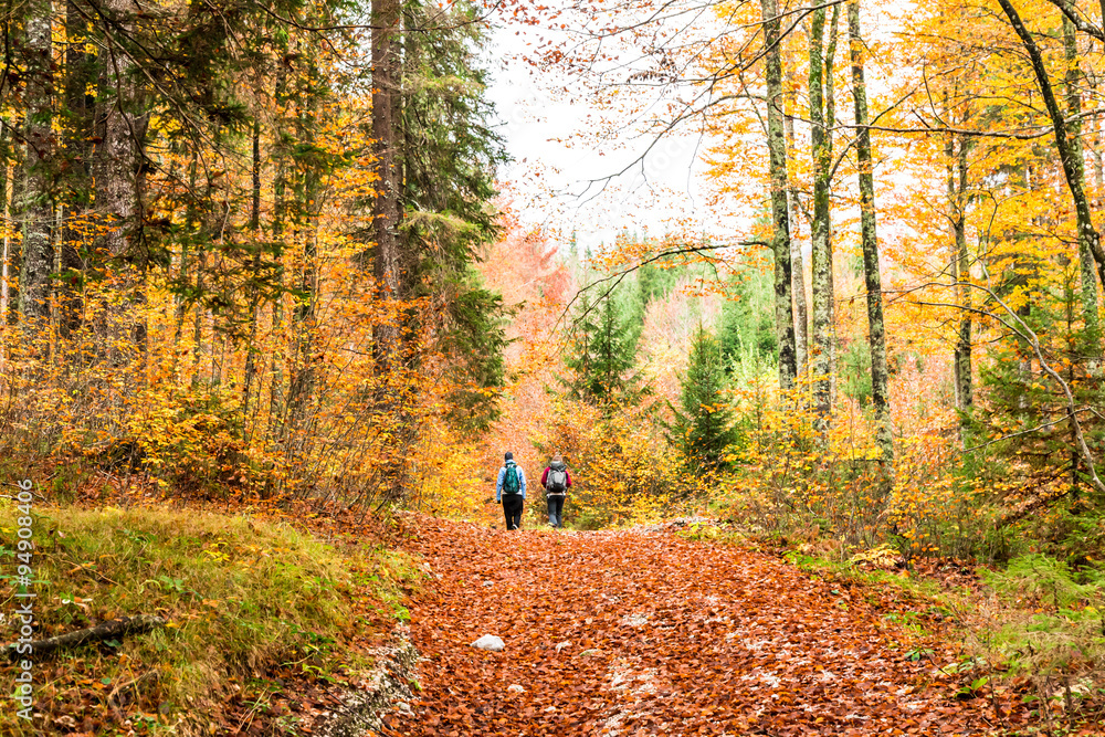 girls trekking in the wood