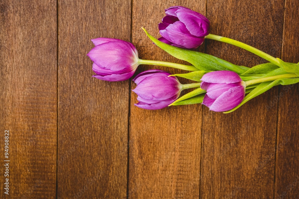 Few beautiful purple flower against wood plank Few beautiful purple flower against wood plank
