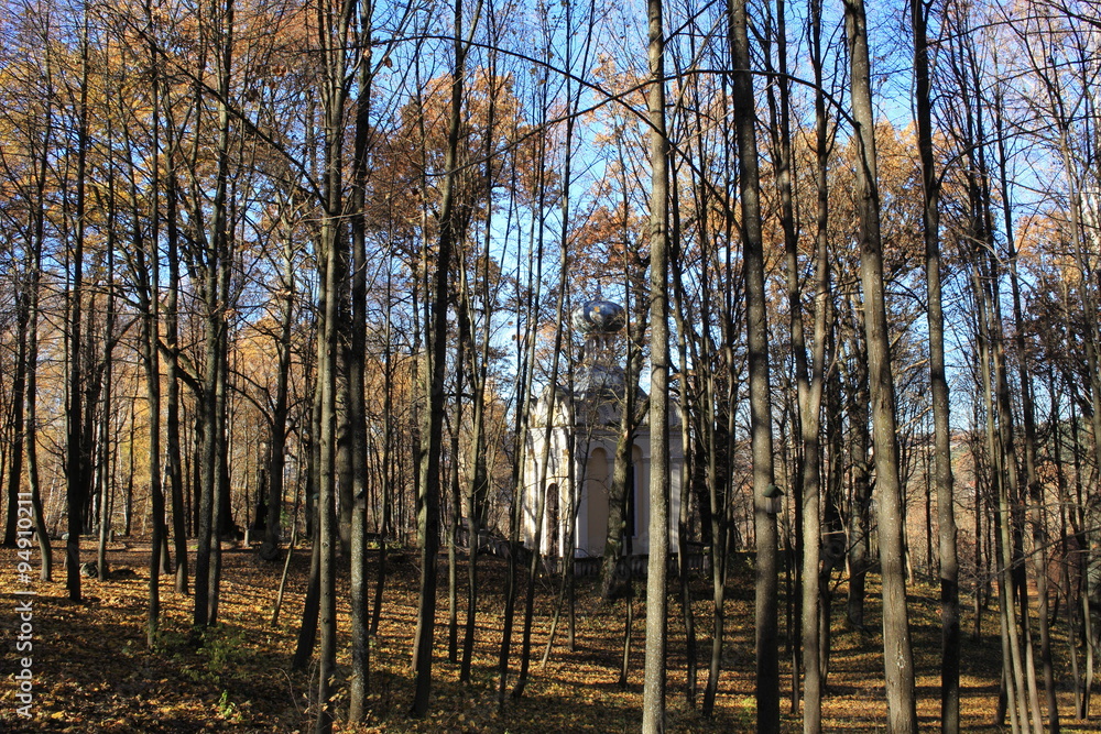 Fototapeta premium Chapel between trees